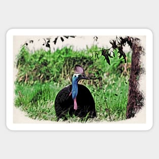 Cassowary Sticker